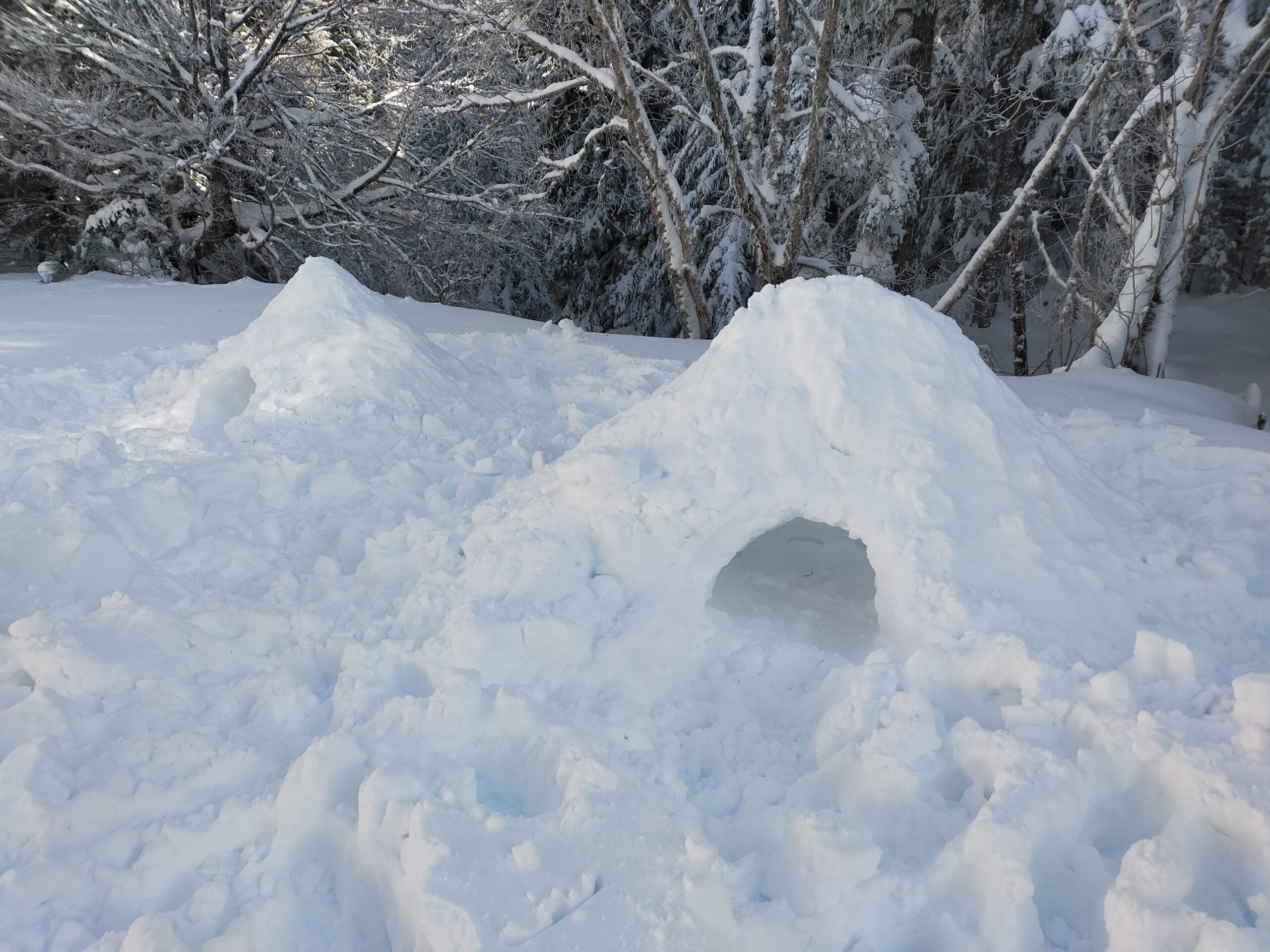 Boussole à La Main Sur Fond De Neige. Orientation Sur Le Terrain